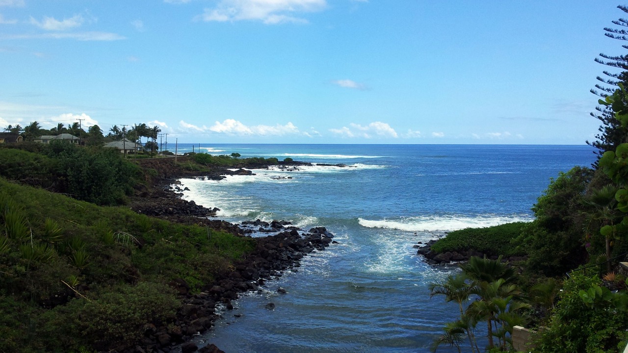 Photo of Others in Poipu