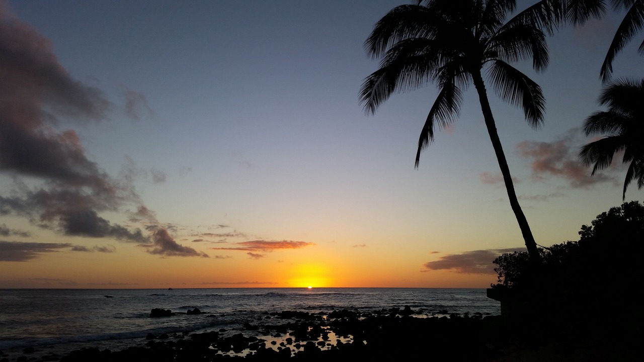 Photo of Others in Poipu
