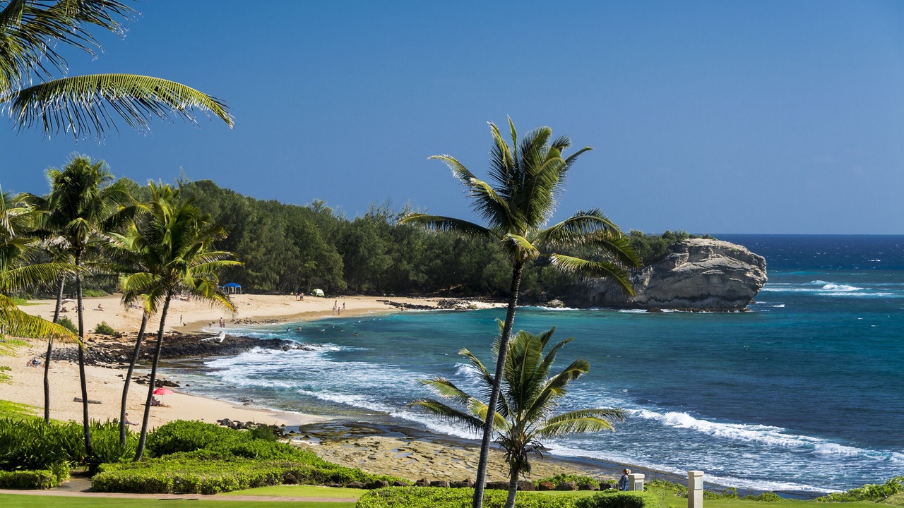 Photo of Others in Poipu