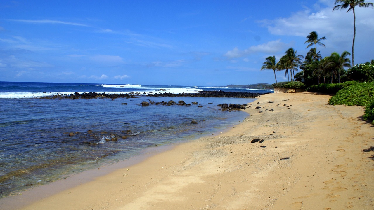 Photo of Others in Poipu