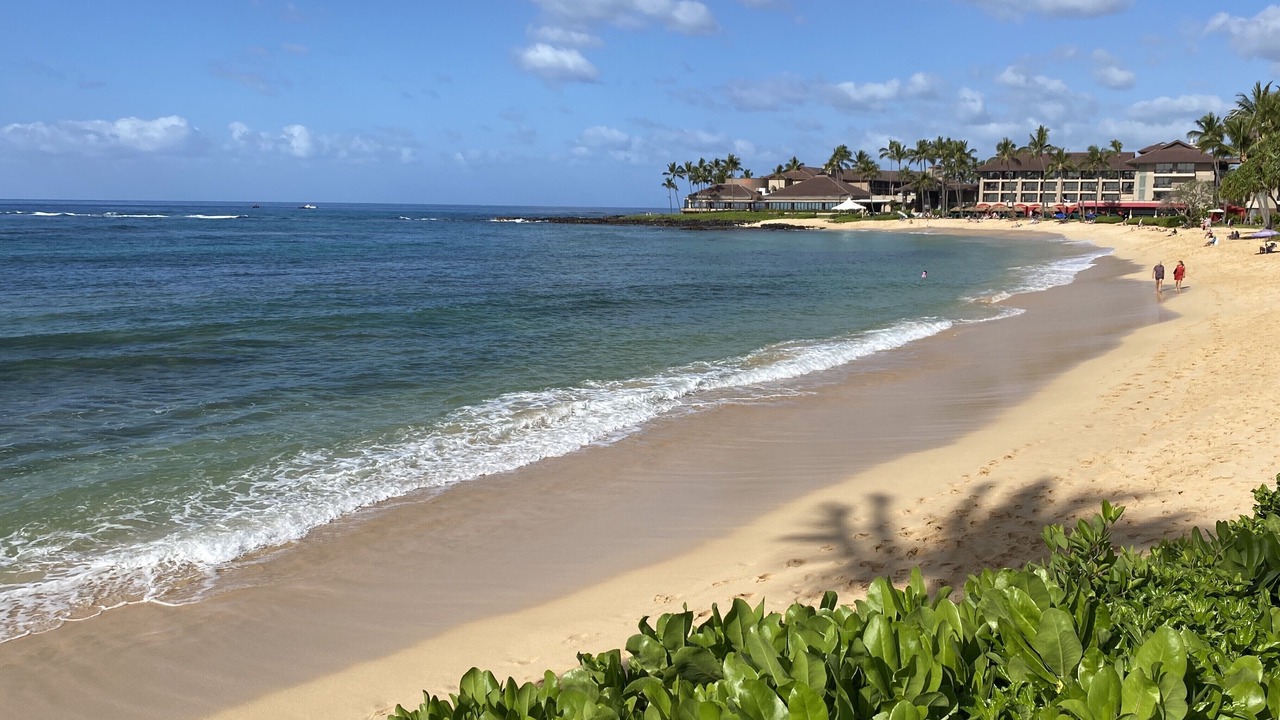 Photo of Others in Poipu