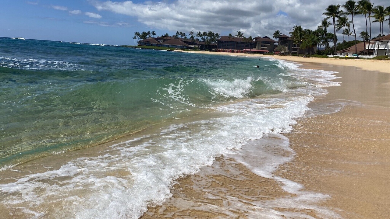 Photo of Others in Poipu