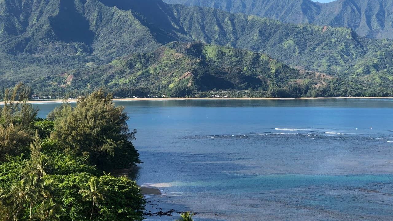 Photo of Others in Princeville