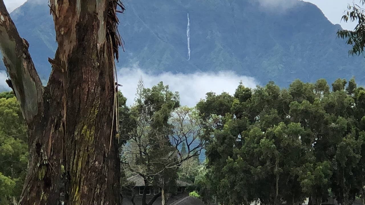 Photo of Others in Princeville