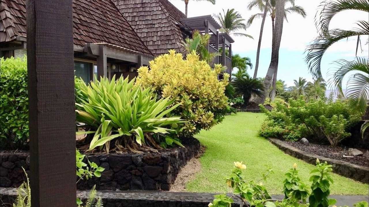 Photo of Outdoor in Punaluu