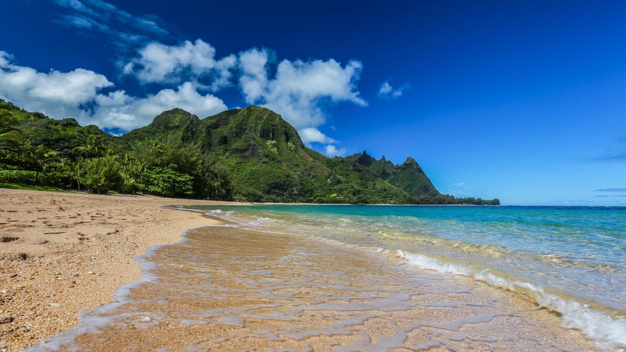 Photo of Others in Wainiha