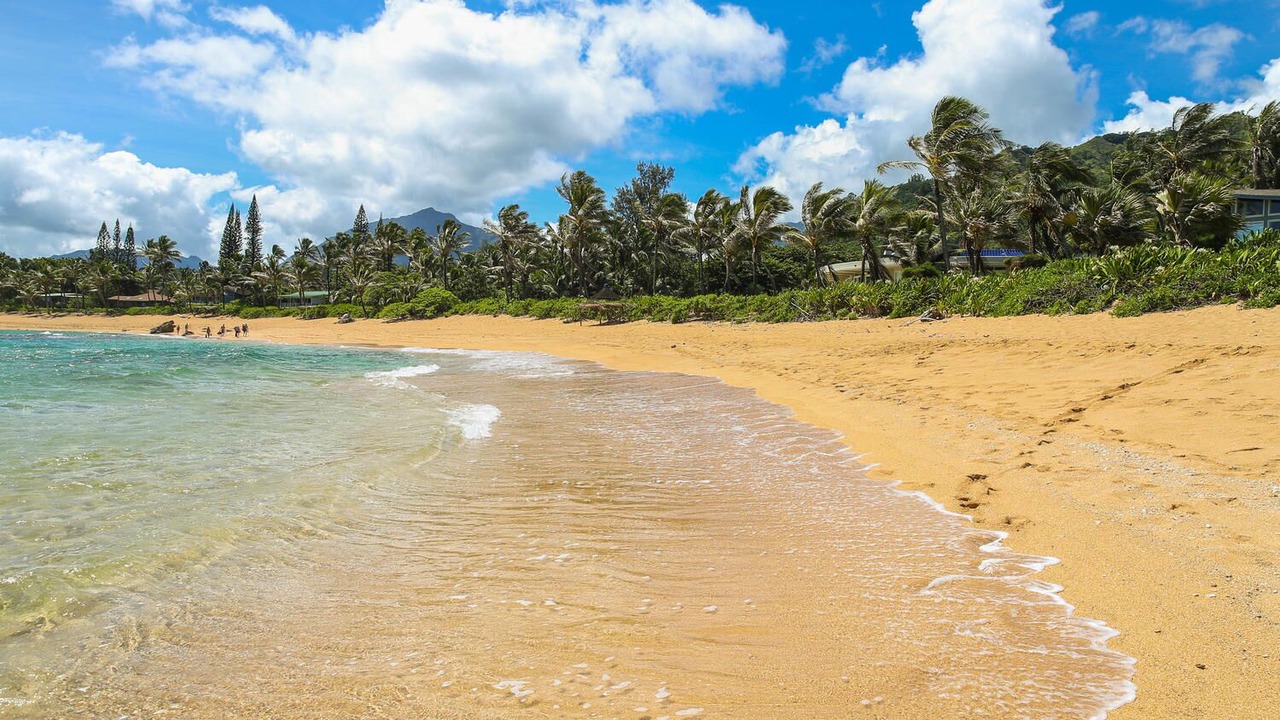 Photo of Others in Wainiha