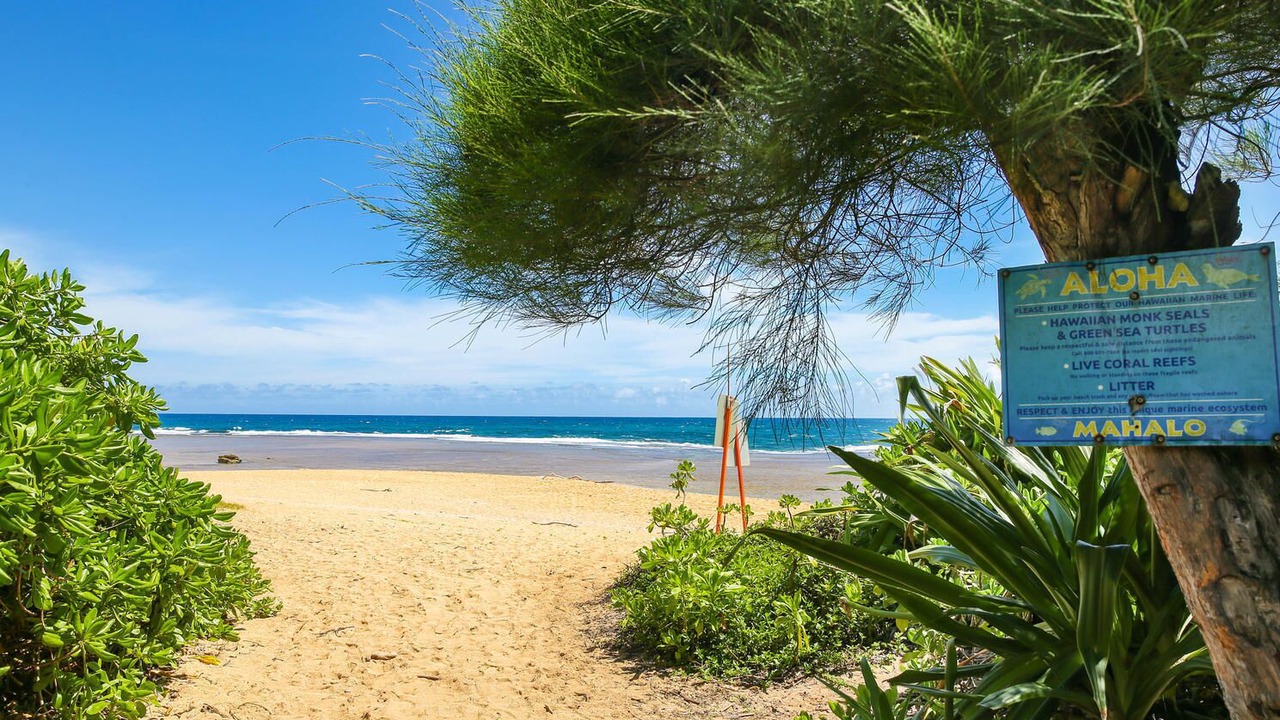Photo of Others in Wainiha