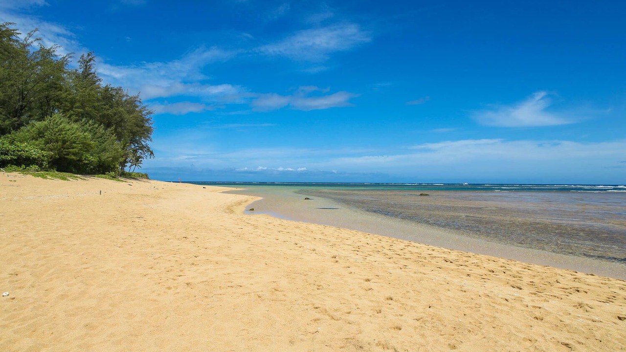 Photo of Others in Wainiha