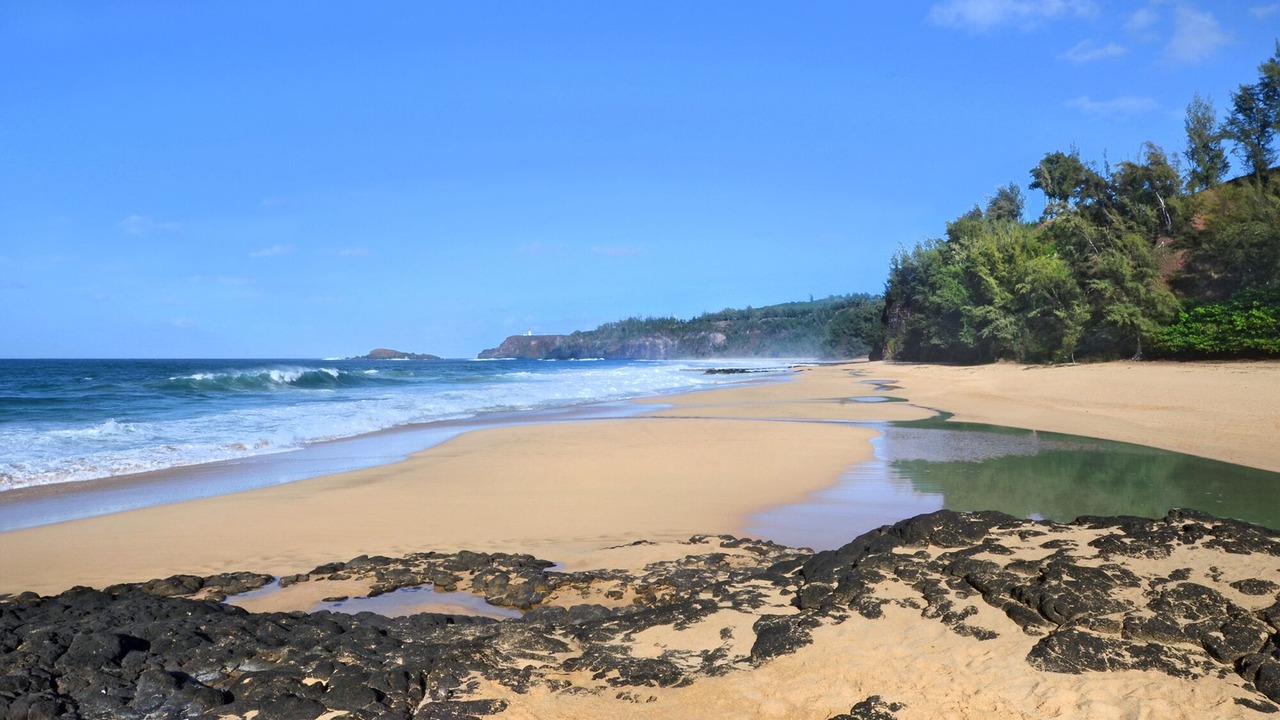 Photo of Others in Princeville