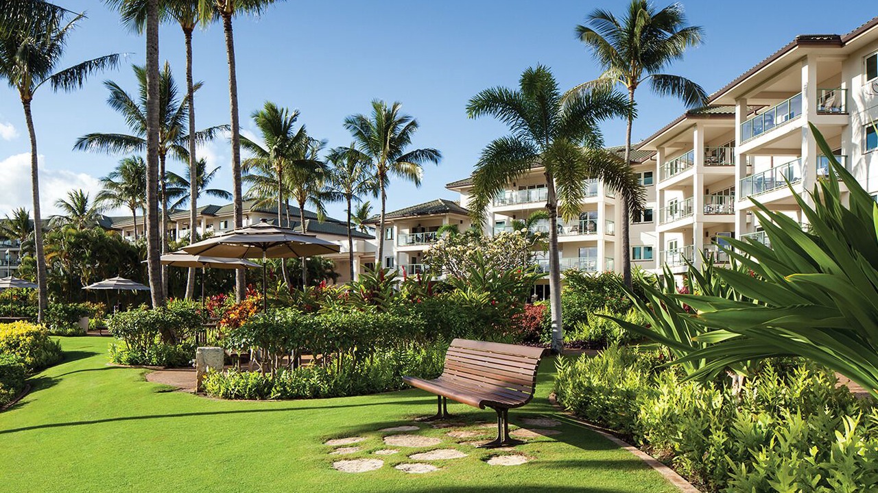 Photo of Outdoor in Lihue