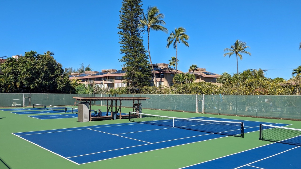 Photo of Others in Kihei