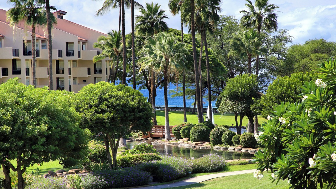 Photo of Others in Kihei