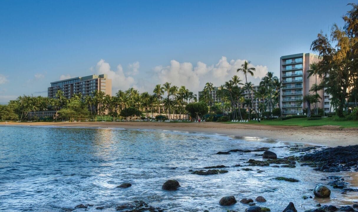 Photo of Others in Lihue