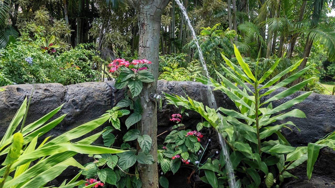 Photo of Outdoor in Princeville
