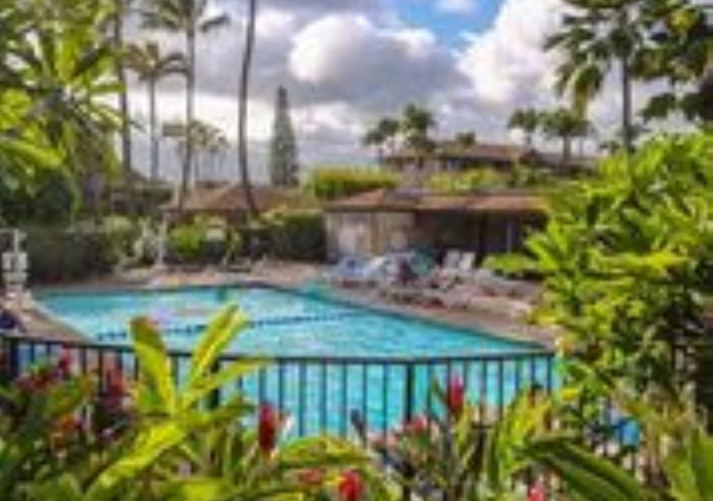 Photo of Outdoor in Kapaa
