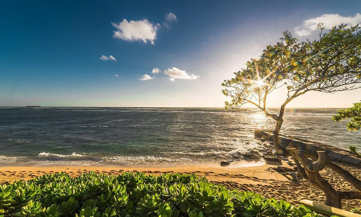 Photo of Others in Laie