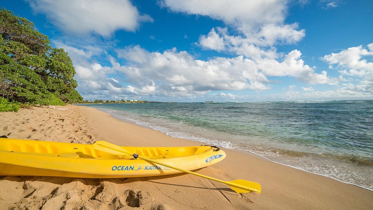 Photo of Others in Laie