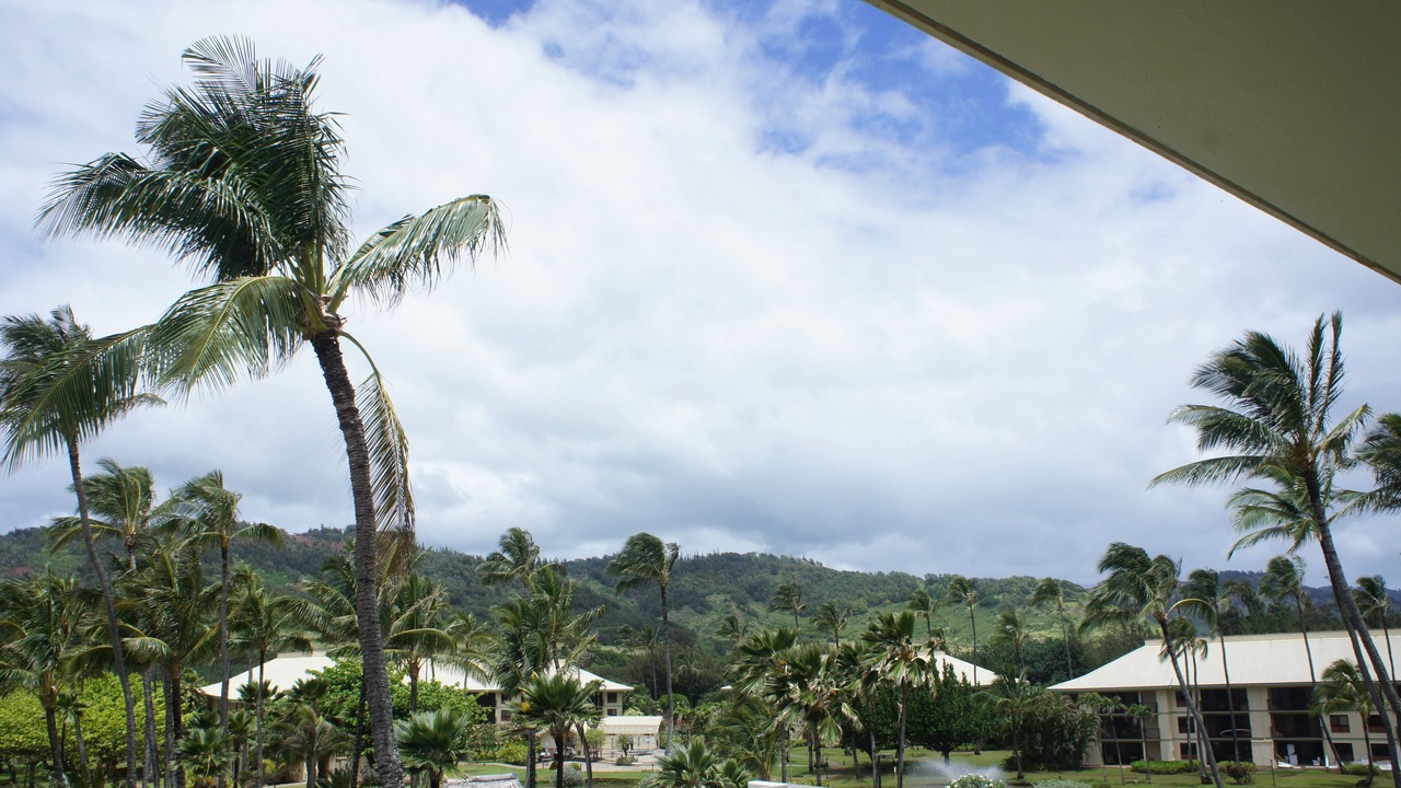 Photo of Outdoor in Hanamaulu