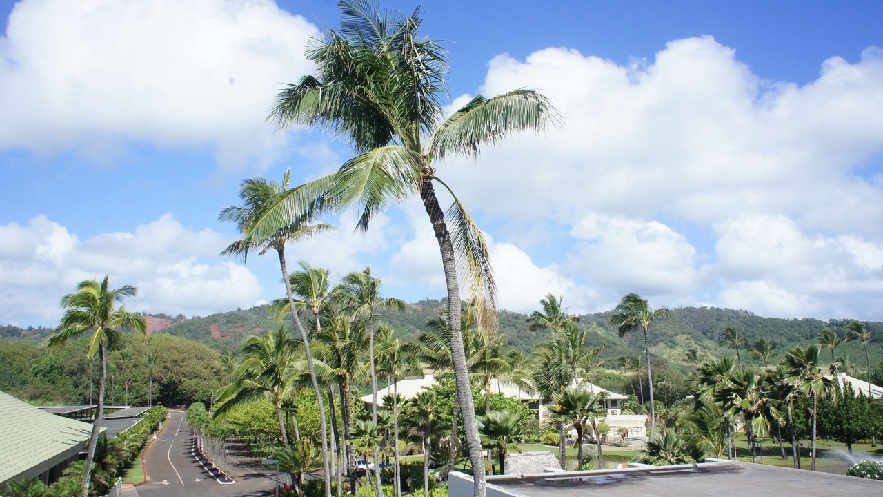 Photo of Others in Hanamaulu