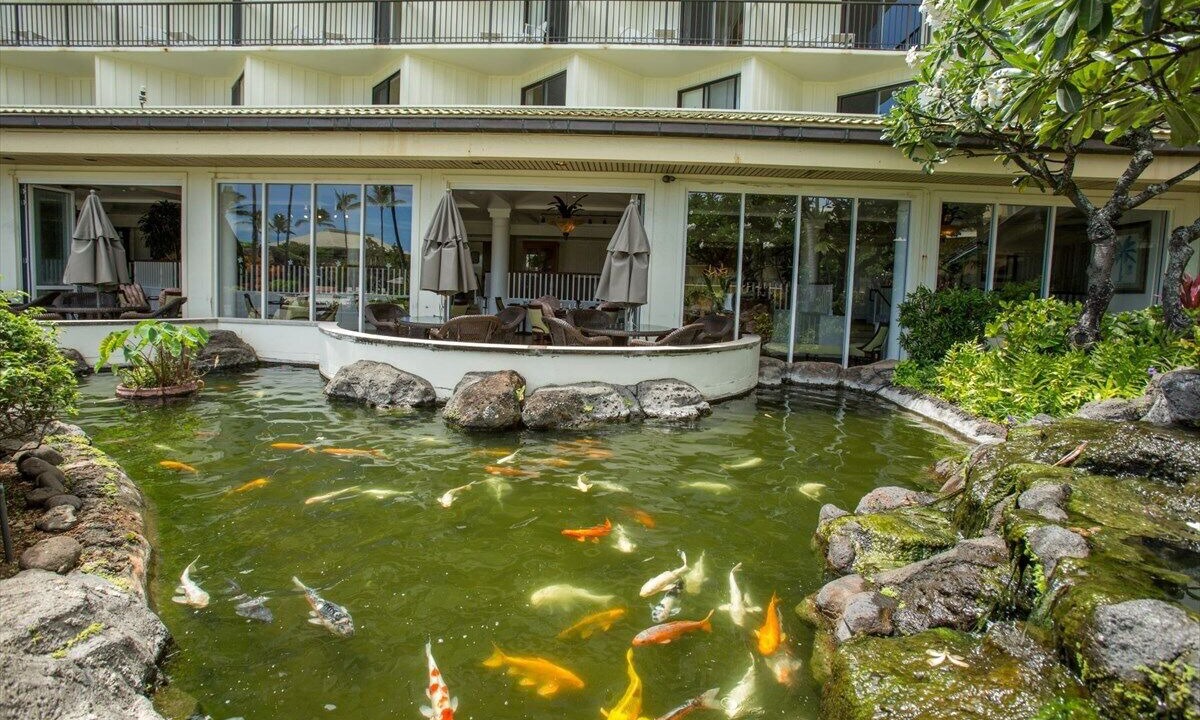Photo of Outdoor in Hanamaulu