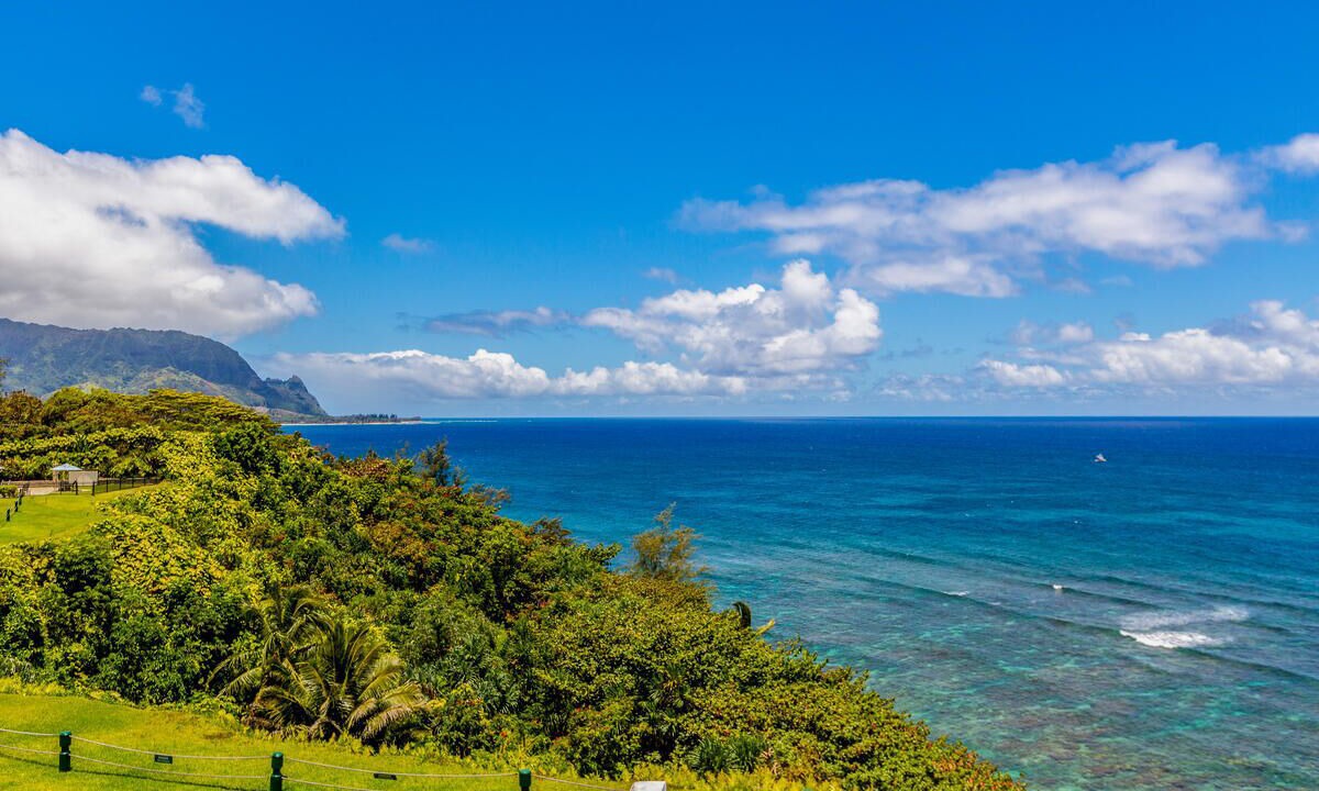 Photo of Others in Princeville