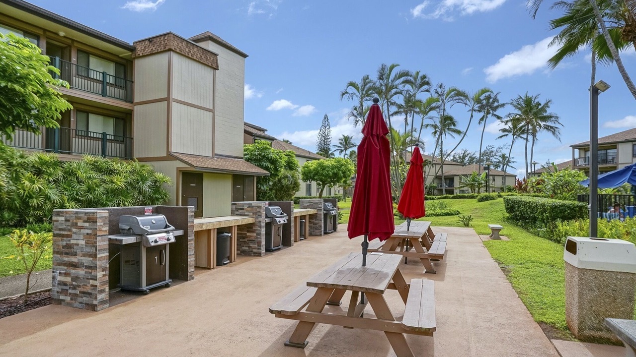 Photo of Others in Kapaa