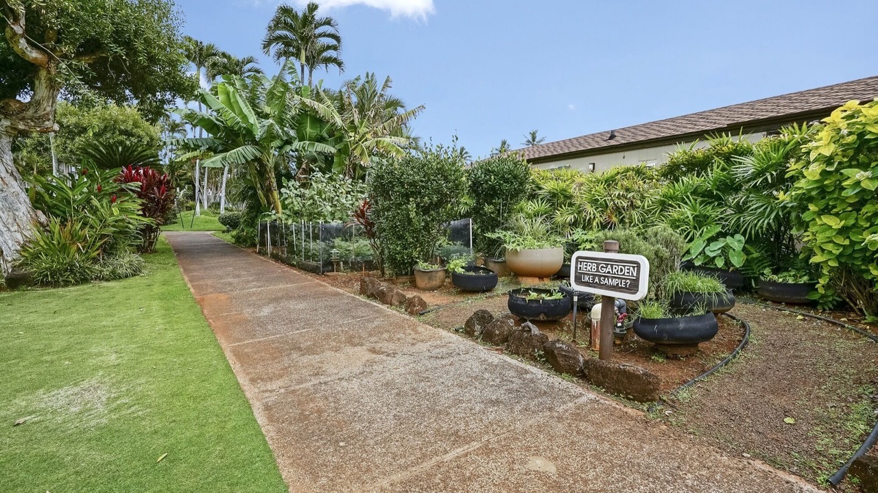 Photo of Outdoor in Kapaa