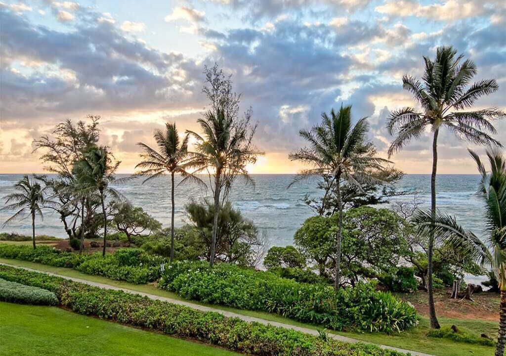 Photo of Outdoor in Lihue