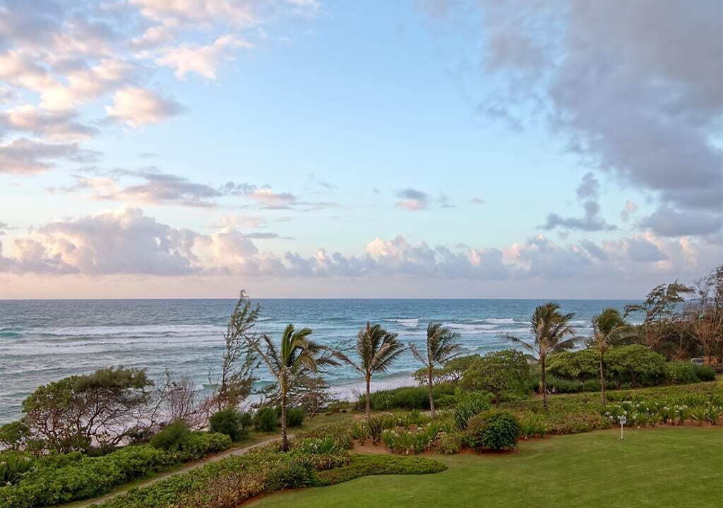 Photo of Outdoor in Lihue