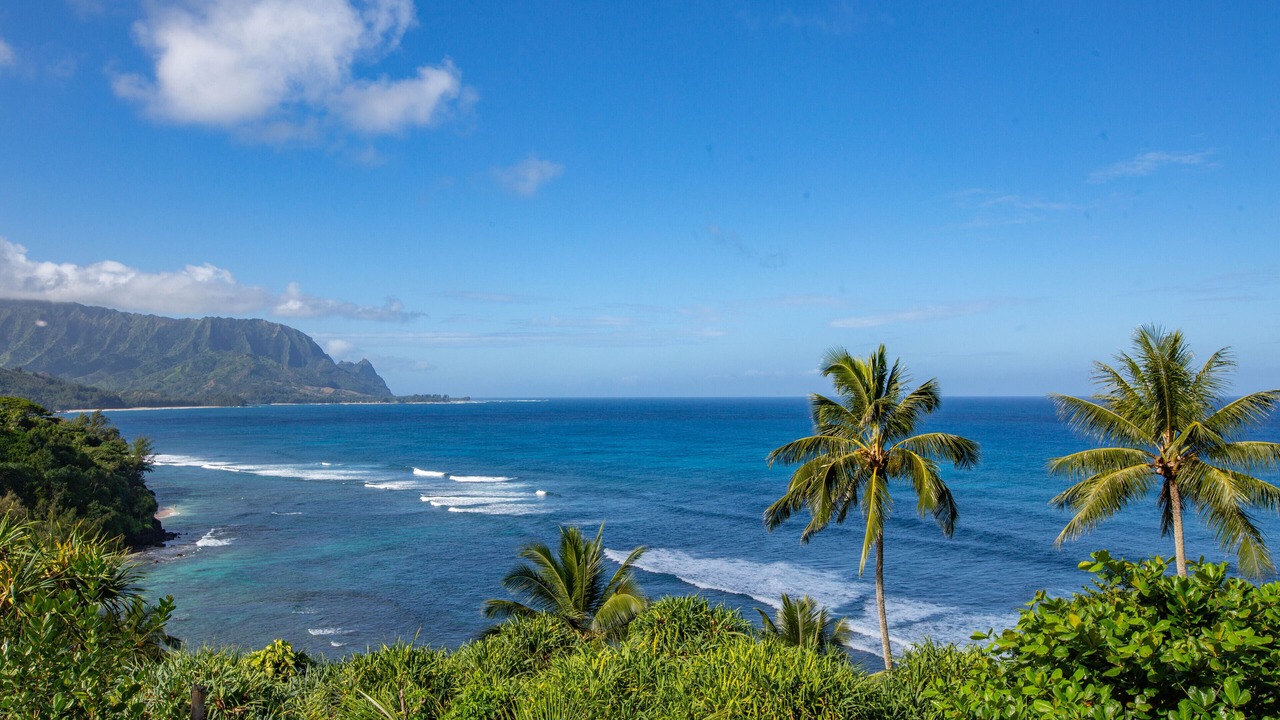 Photo of Others in Princeville
