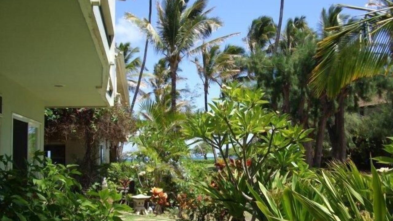 Photo of Outdoor in Kapaa