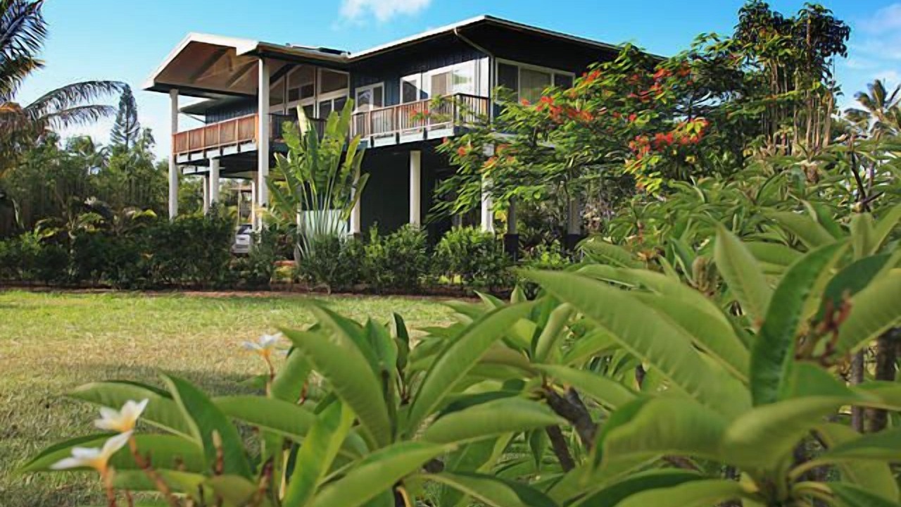 Photo of Others in Wainiha