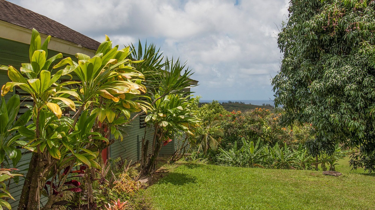 Photo of Others in Kilauea