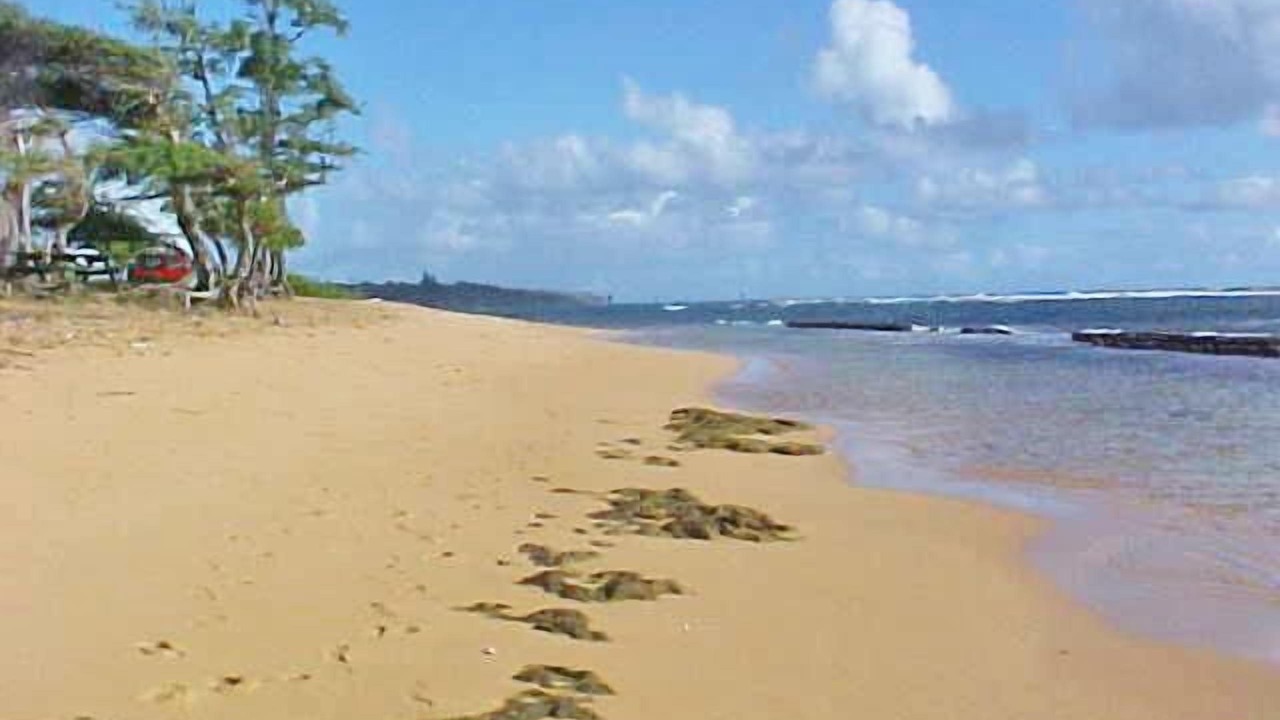 Photo of Others in Wailua