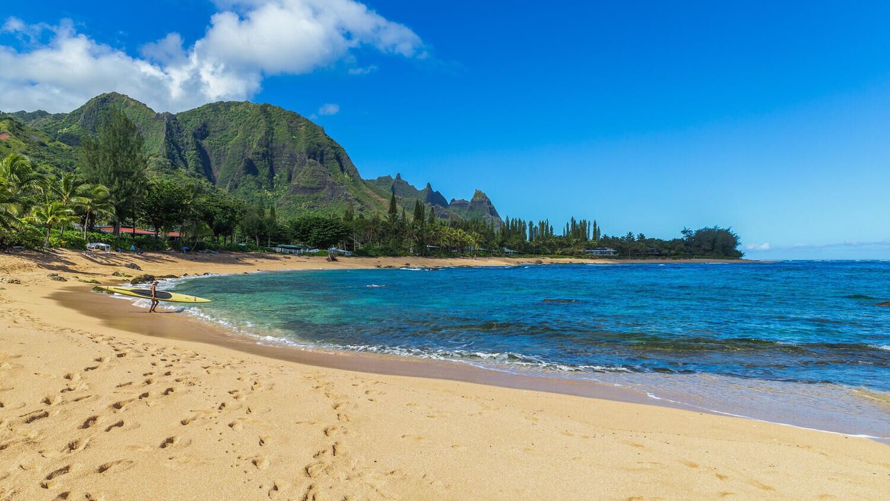 Photo of Others in Wainiha