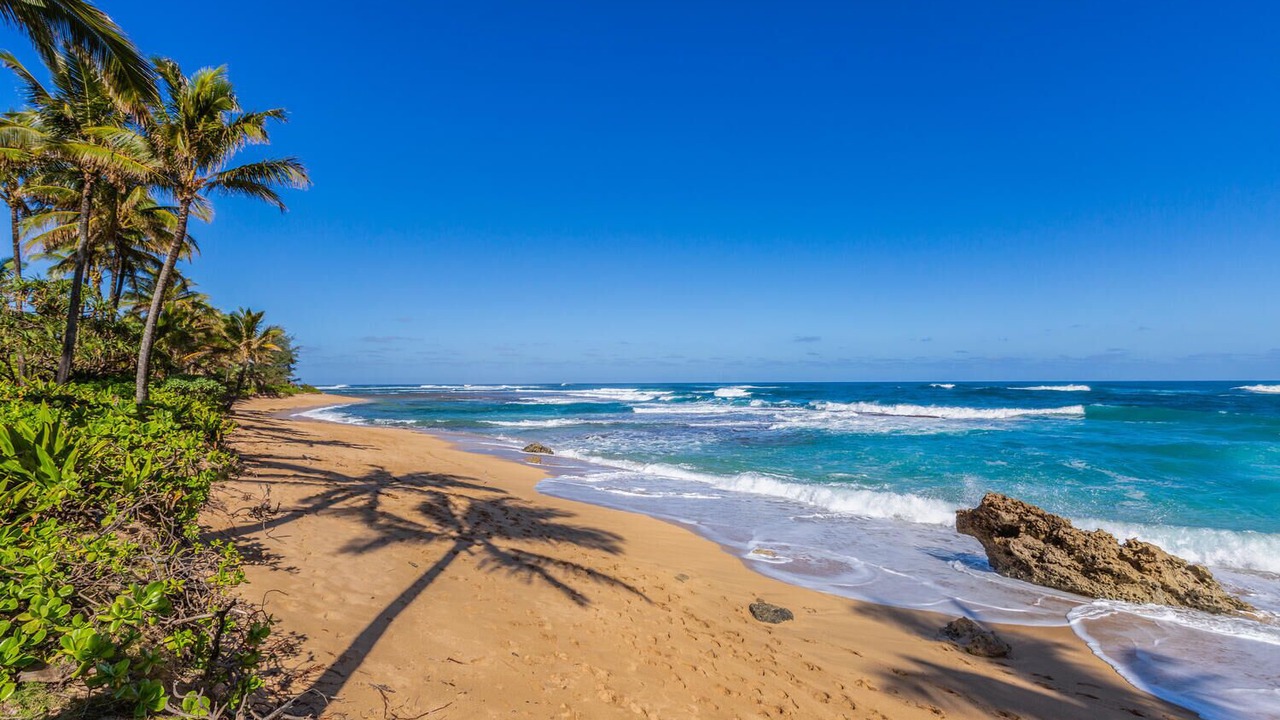 Photo of Others in Wainiha