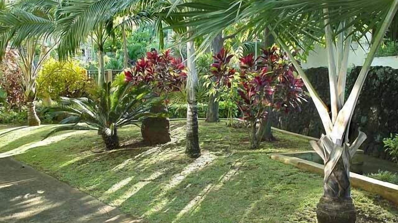 Photo of Others in Poipu