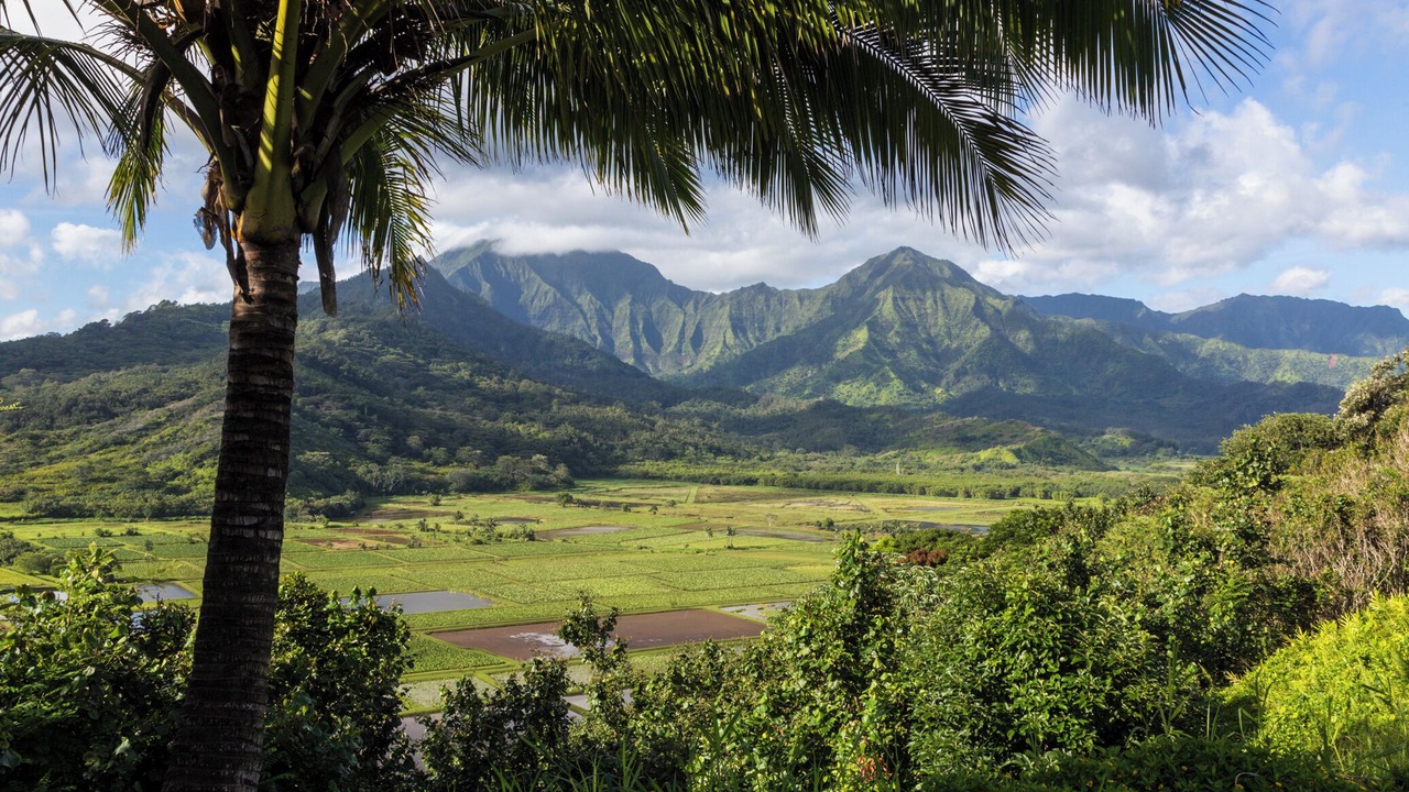 Photo of Others in Wainiha