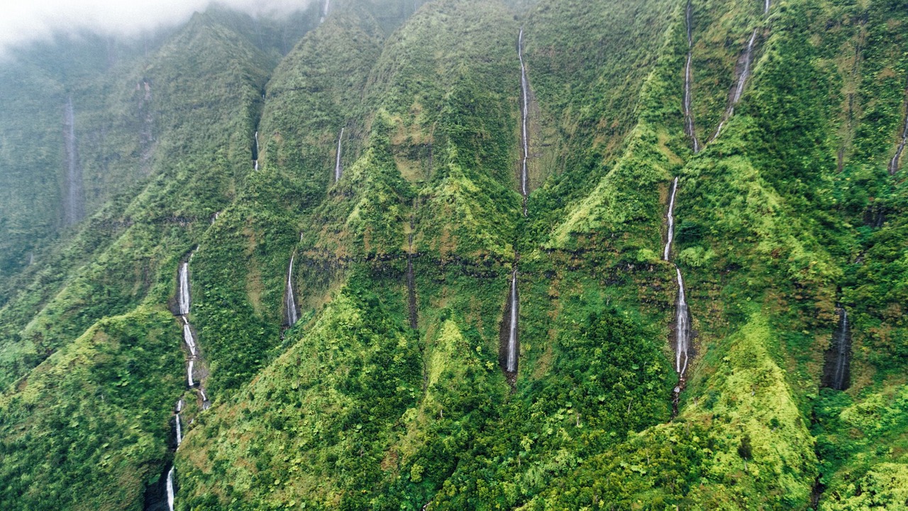 Photo of Others in Wainiha