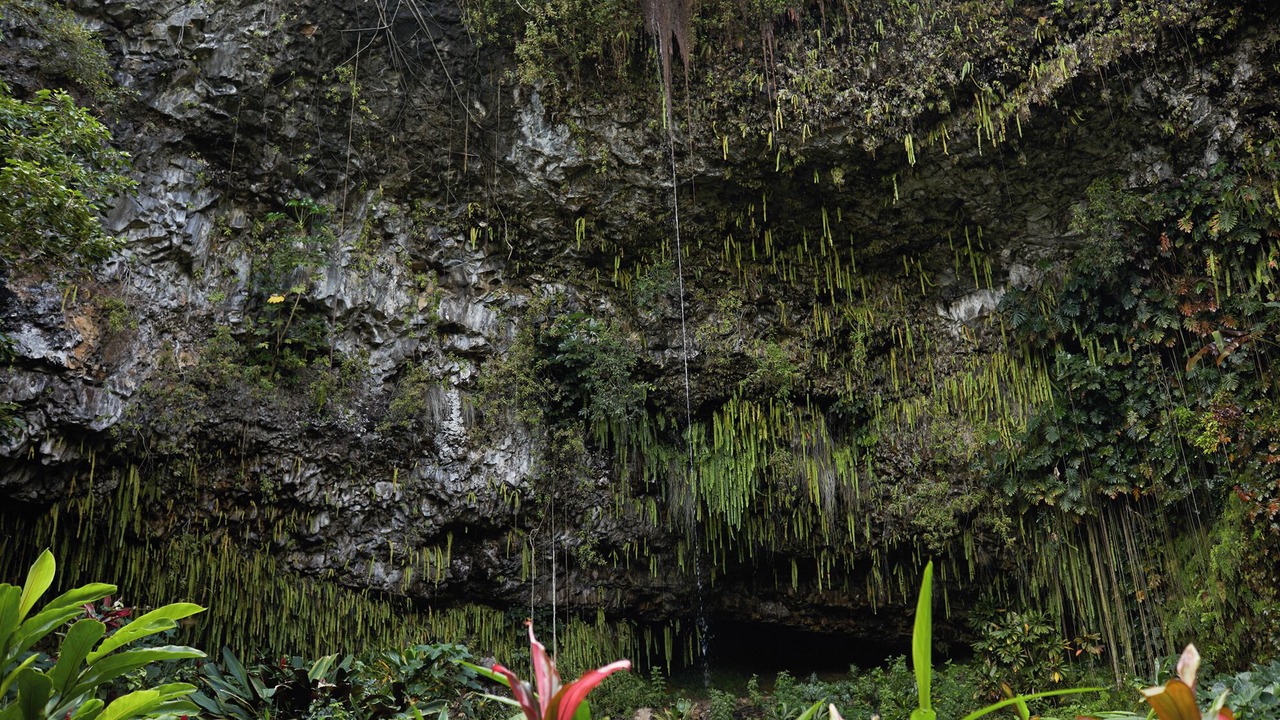 Photo of Others in Wainiha