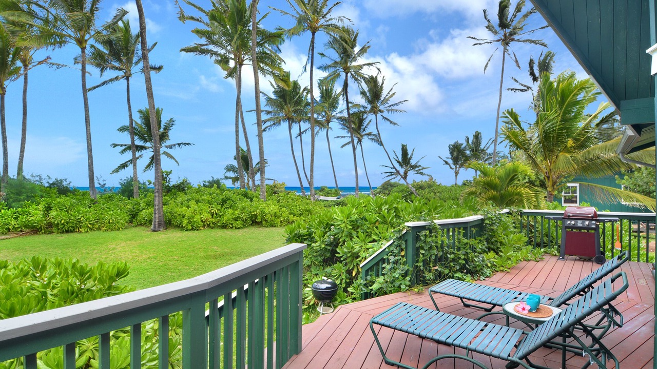 Photo of Others in Wainiha