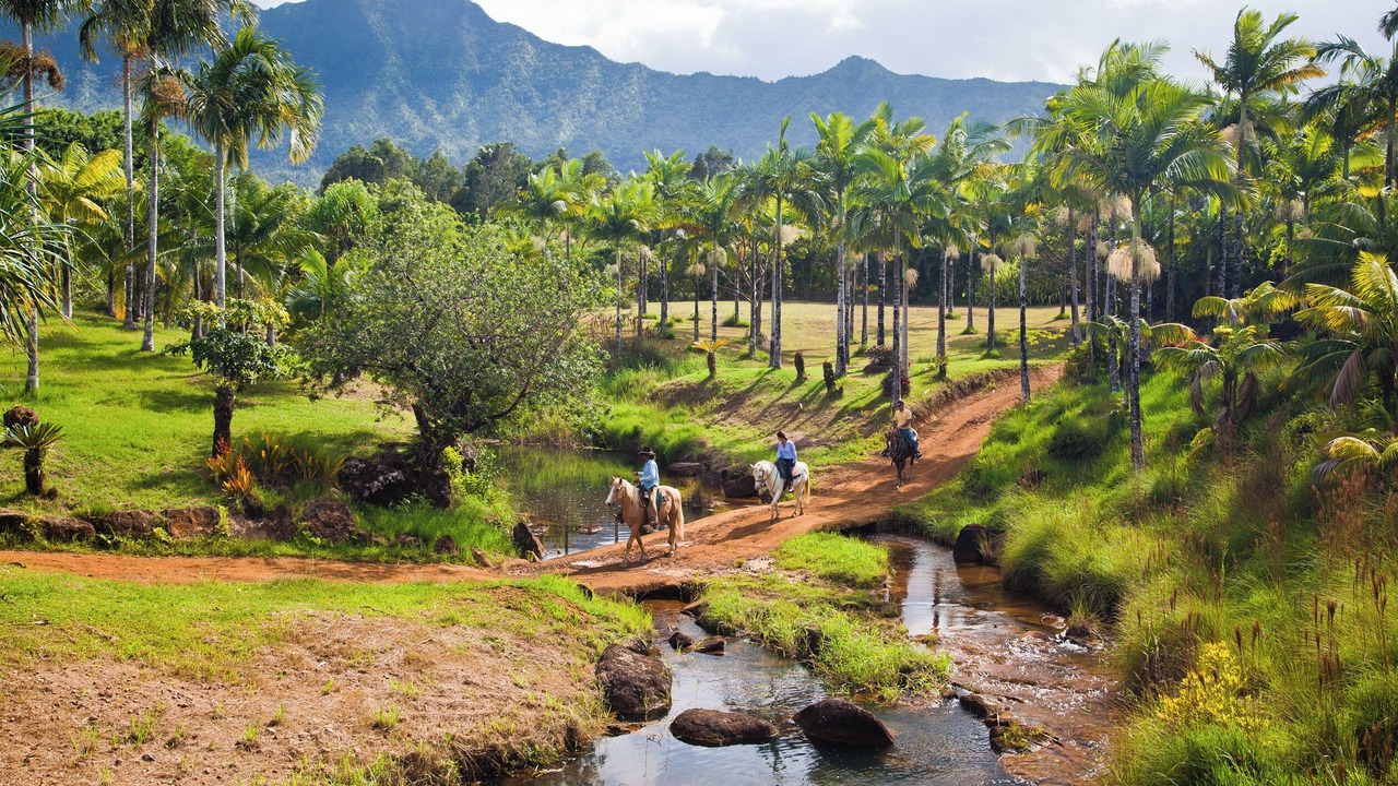 Photo of Others in Wainiha