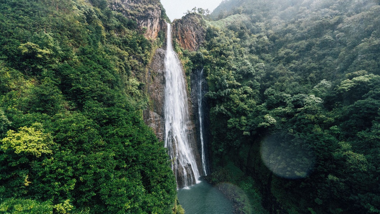 Photo of Others in Wainiha