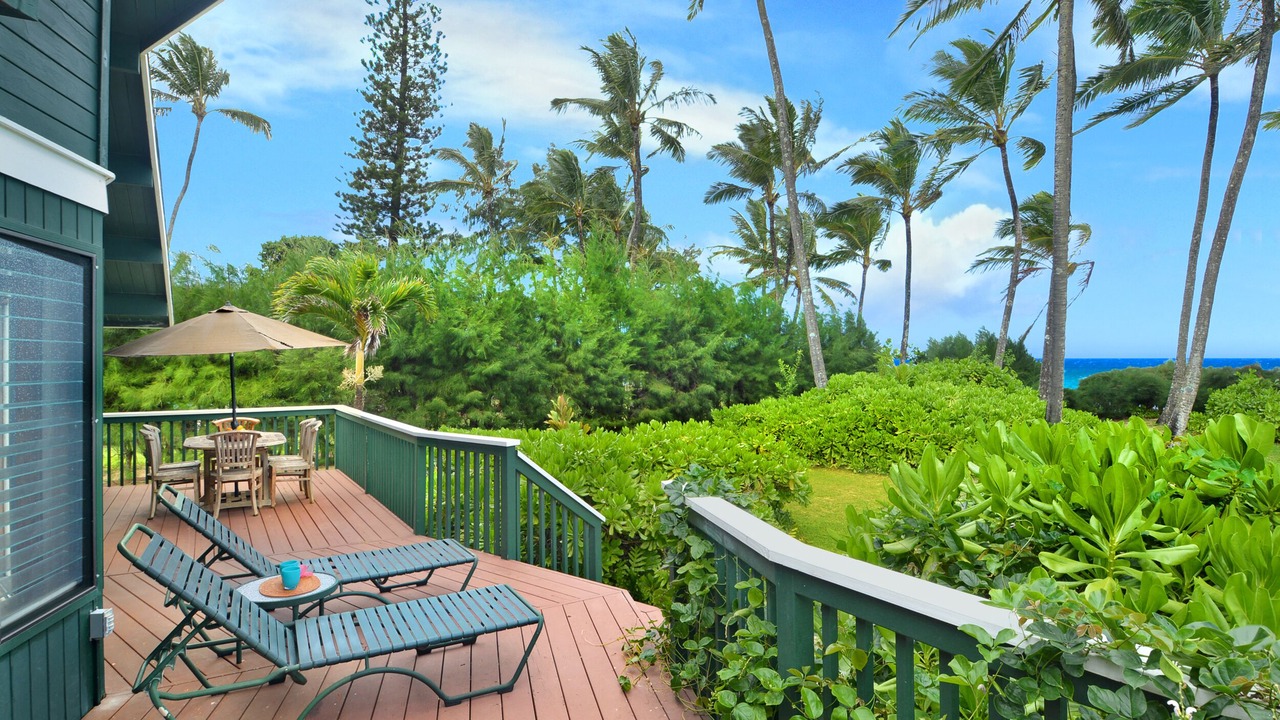 Photo of Others in Wainiha