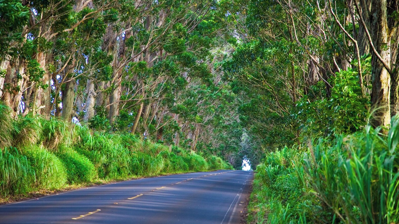 Photo of Others in Poipu