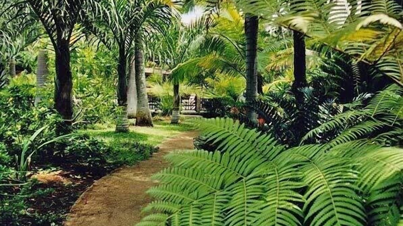 Photo of Others in Poipu