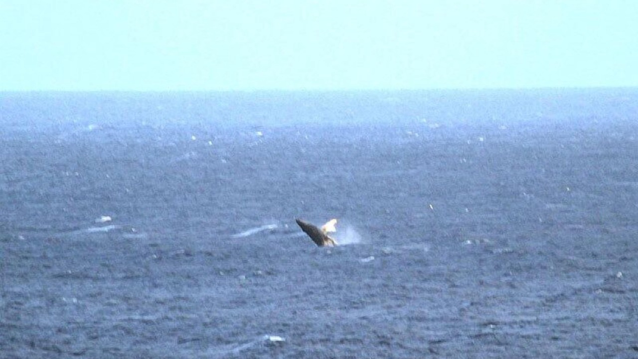 Photo of Others in Kealia