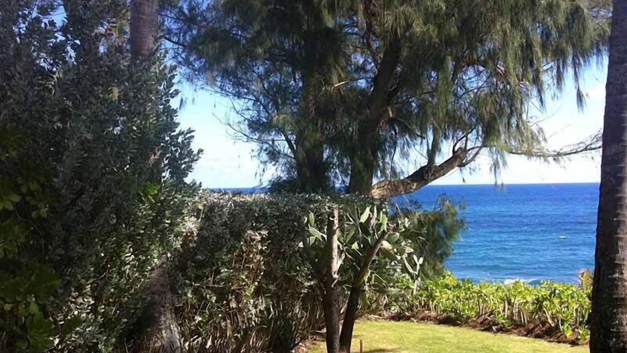 Photo of Outdoor in Kealia