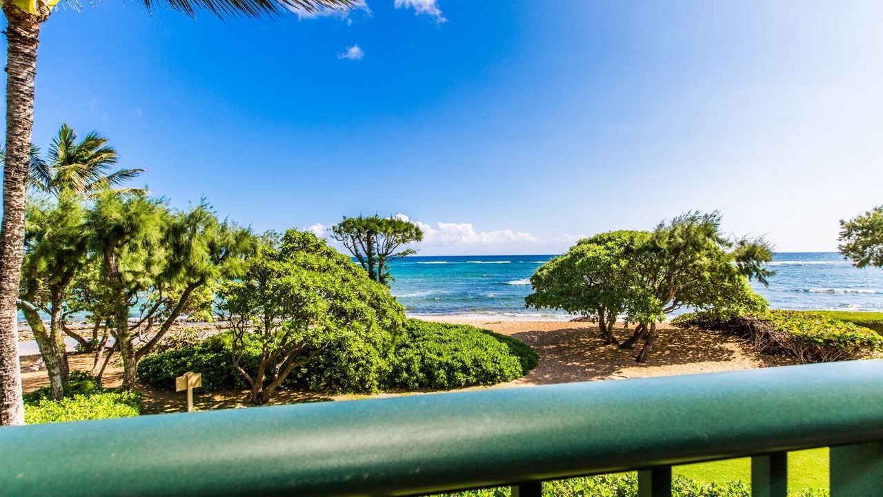 Photo of Others in Wailua